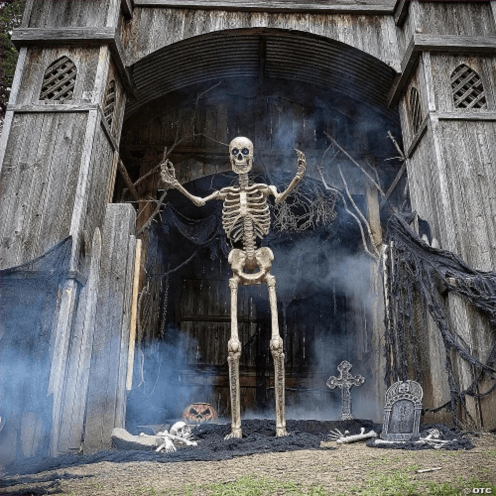 Skeleton